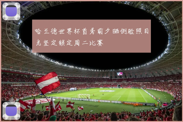 哈兰德世界杯首秀前夕晒侧脸照目光坚定锁定周二比赛